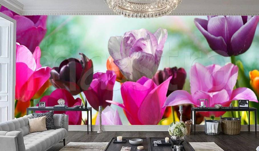 Фотообои Разноцветные тюльпаны  3-176
