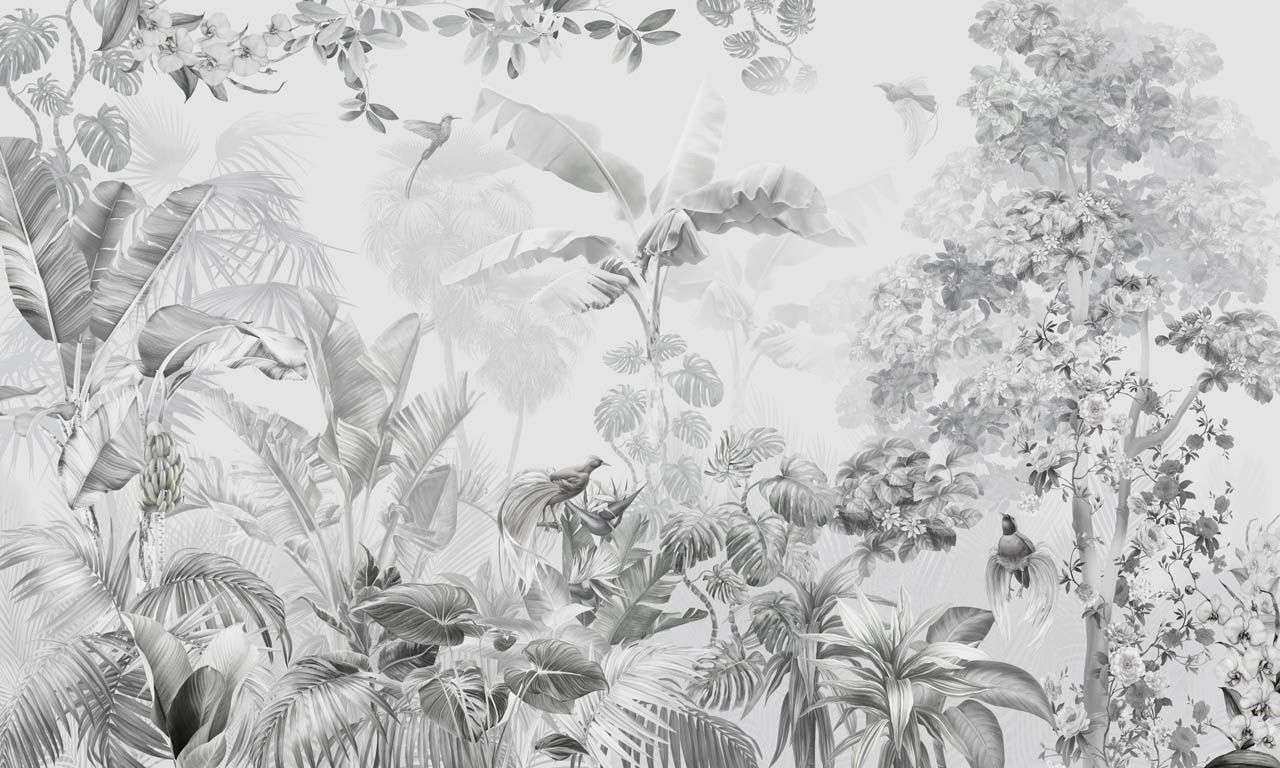 Фотообои в интерьере тропический лес серый  13-745 фото