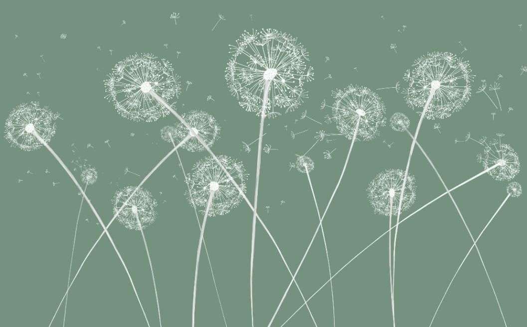 Фотообои в интерьере одуванчики на зелёном фоне  14-526 фото