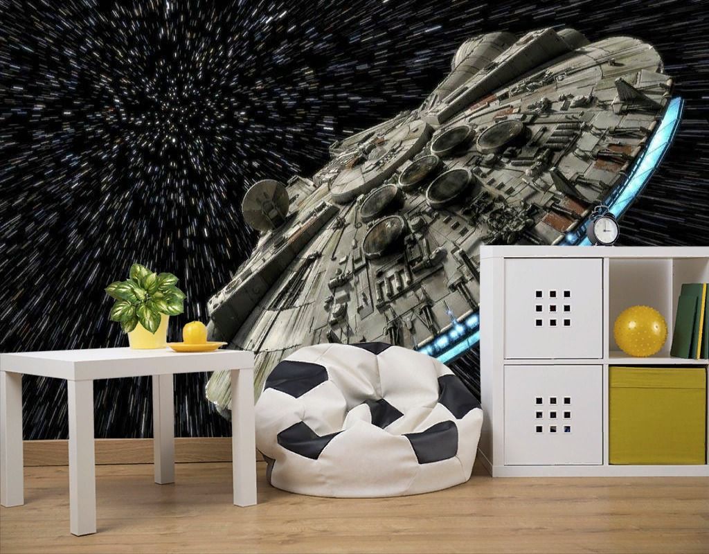 Фотообои Тысячелетний сокол  12-1216