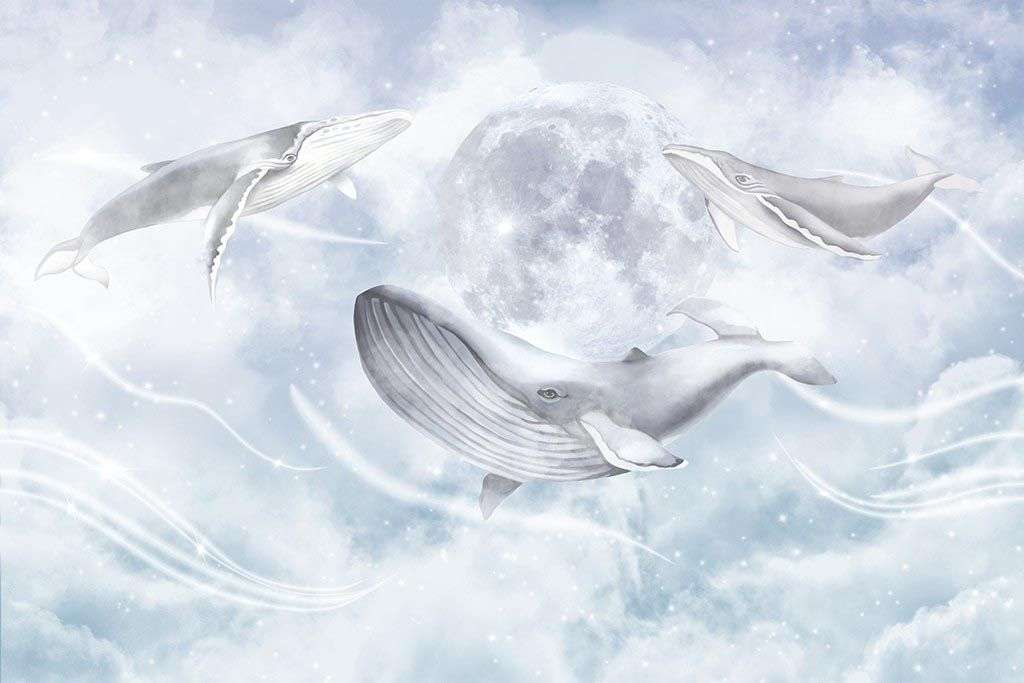 Фотообои в интерьере небесные киты  12-1561 фото