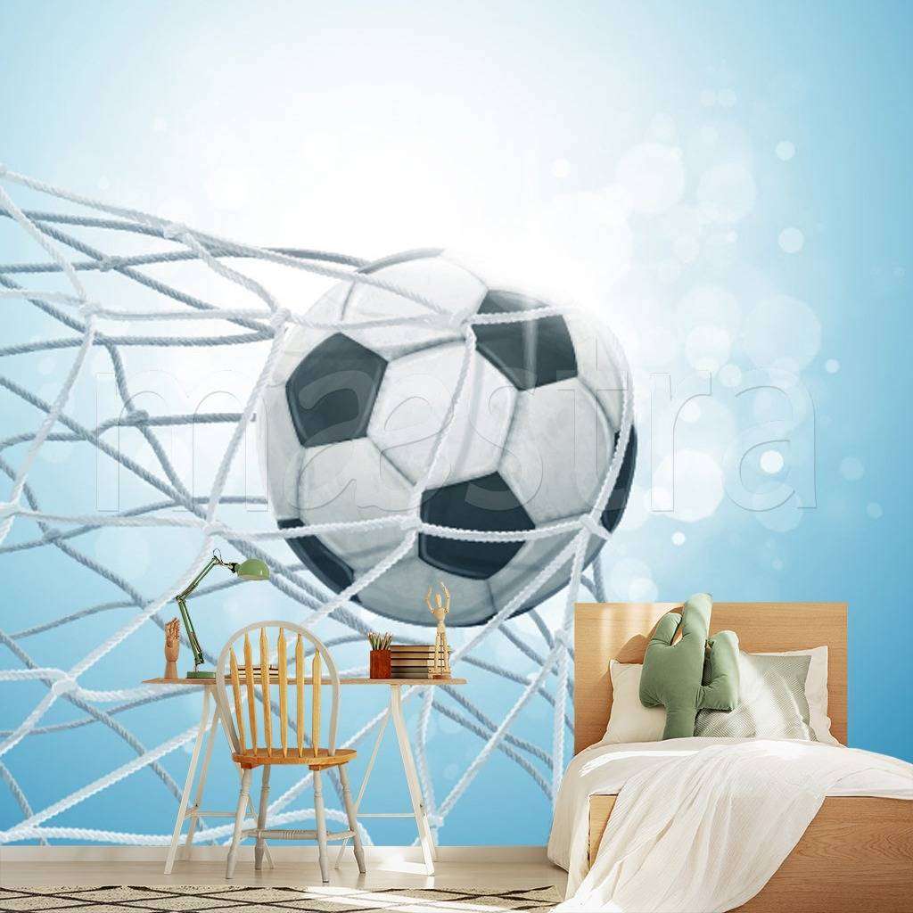 Фотообои в интерьере мяч в сетке на солнце  12-525 фото