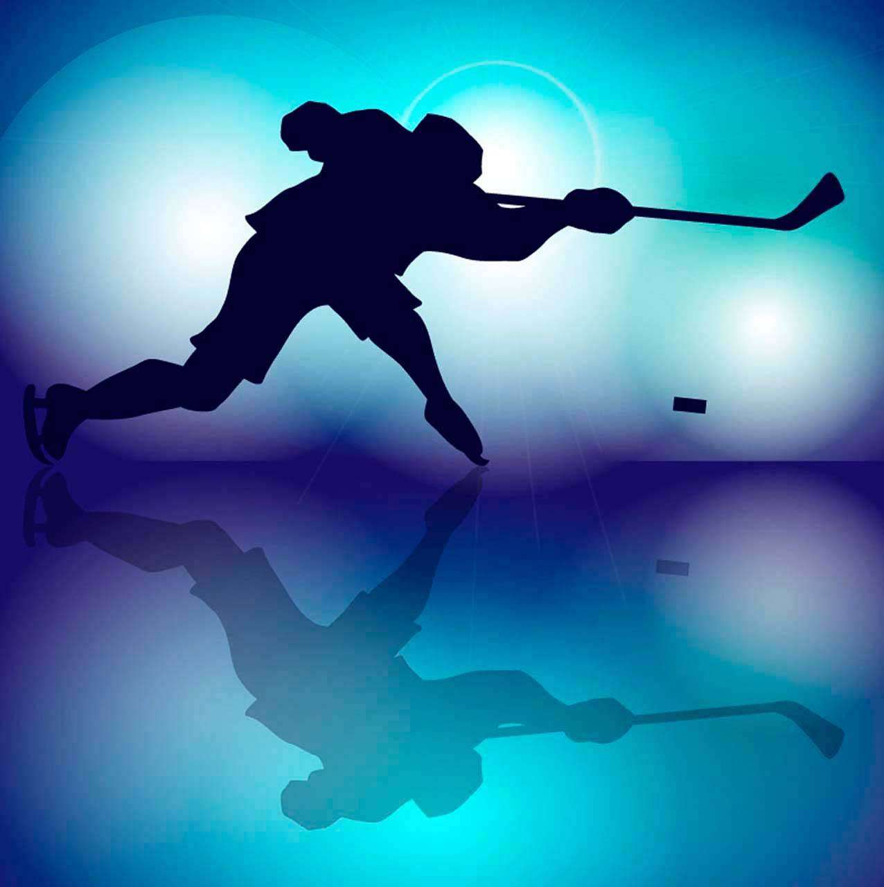 Фотообои в интерьере удар по шайбе  12-566 фото