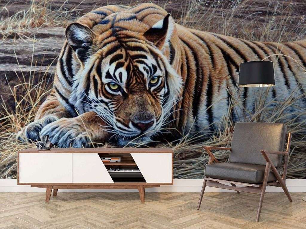 Фотообои в интерьере уссурийский тигр  17-4423 фото