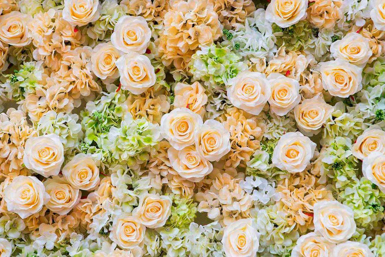 Фотообои в интерьере красивые мелкие розы  10-261 фото