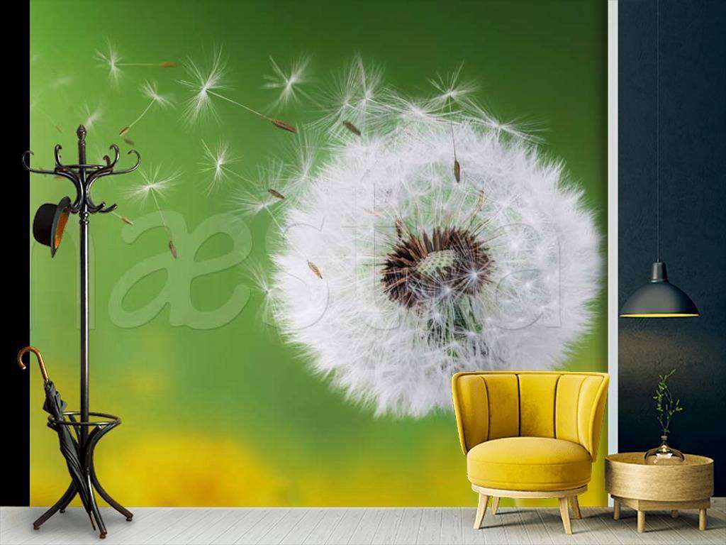 Фотообои Отцветший одуванчик на зеленом фоне  10-065