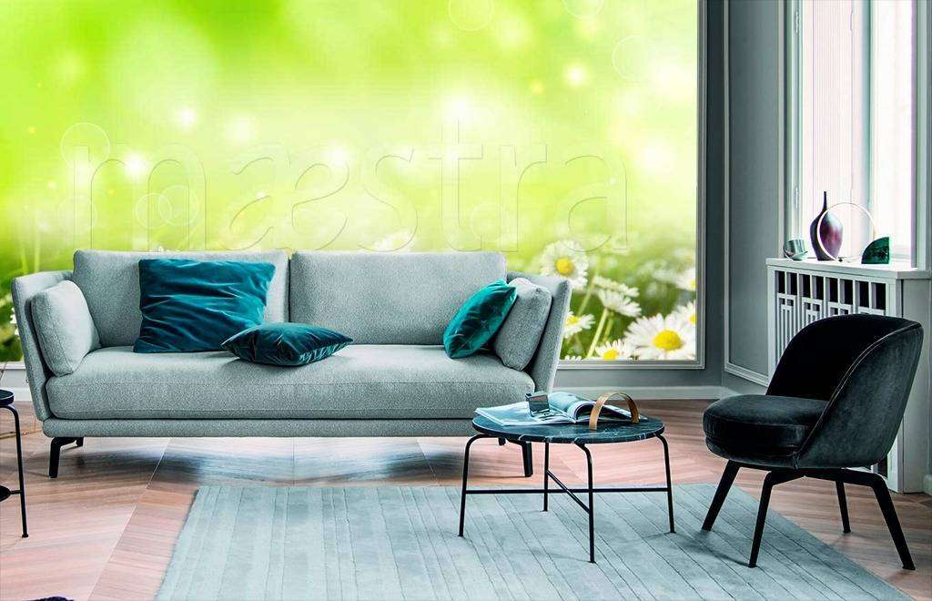 Фотообои Ромашки на зеленом фоне  10-333