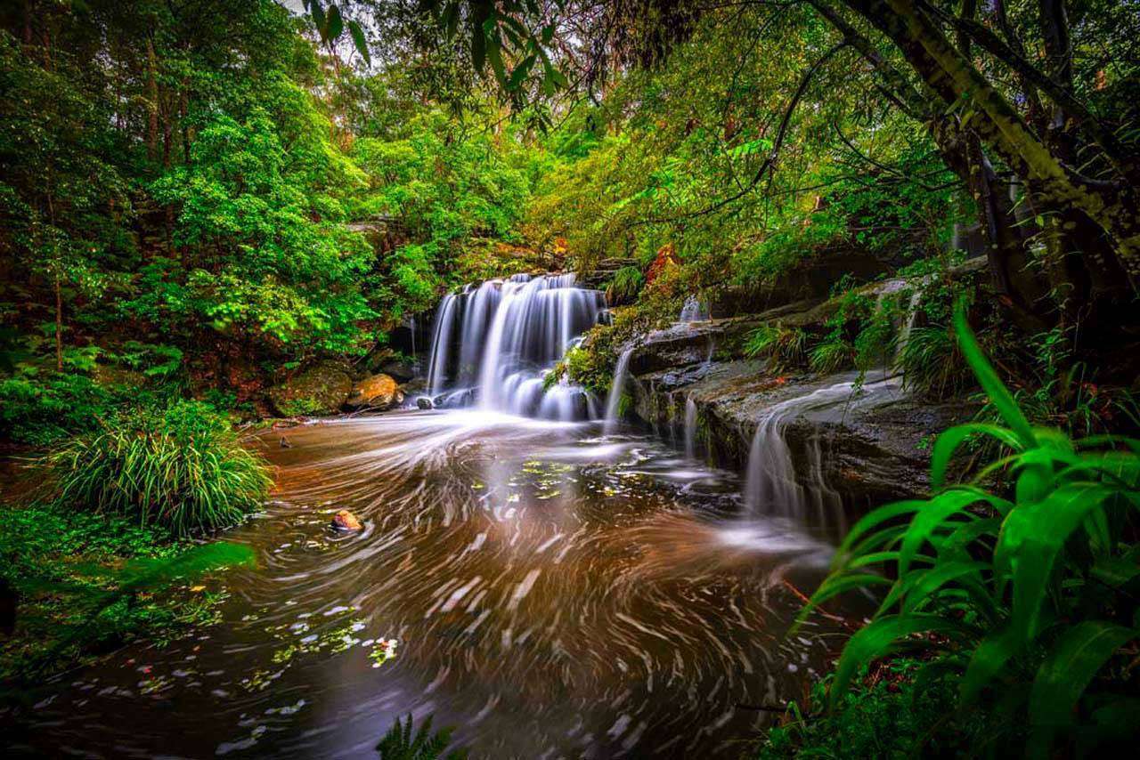 Фотообои в интерьере водопад у реки  4-373 фото