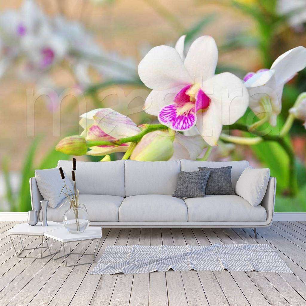 Фотообои Цветок белой орхидеи  10-188