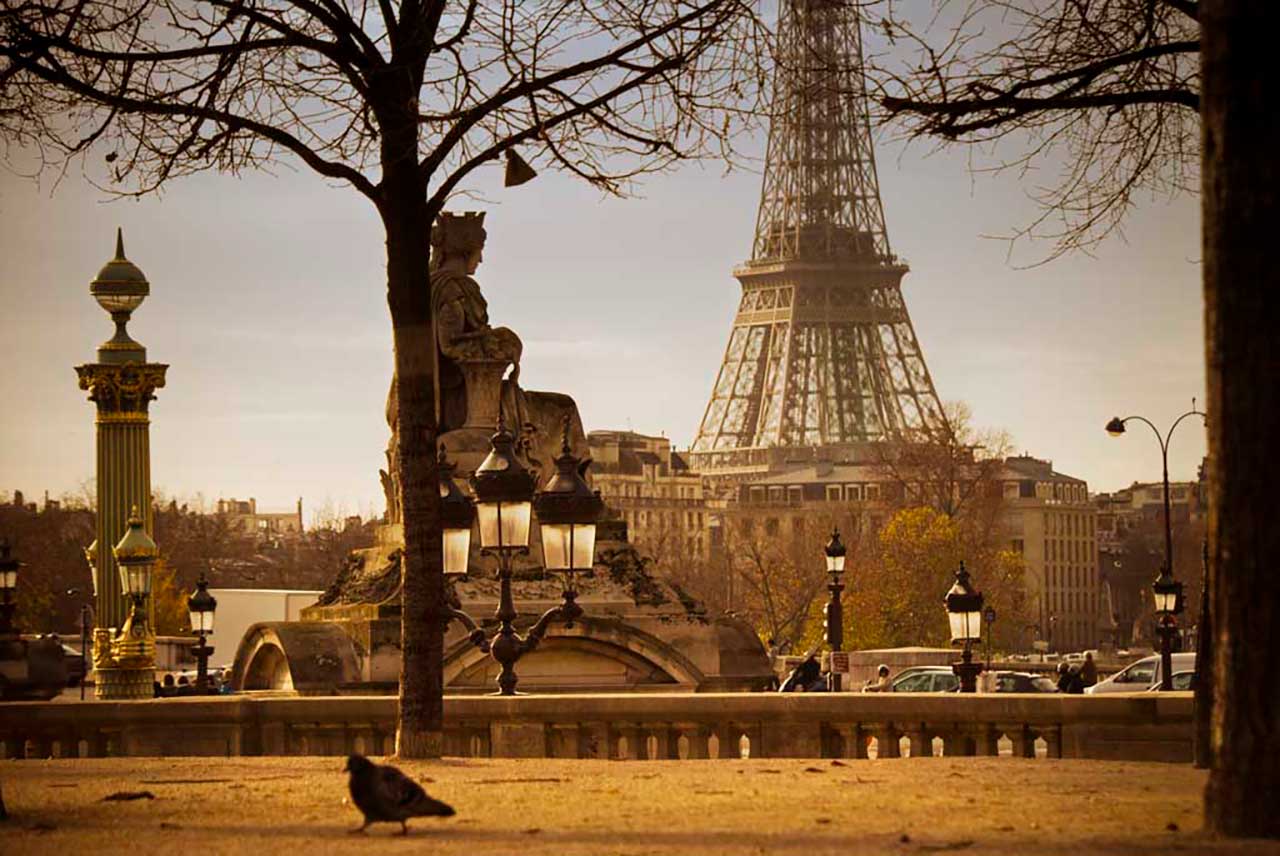 Фотообои в интерьере парк парижа  9-792 фото