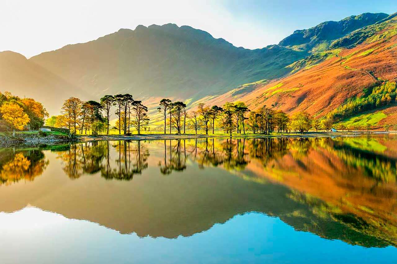 Фотообои в интерьере англия роскошная  9-595 фото