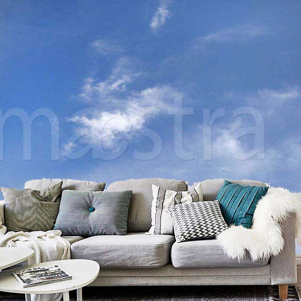 Фотообои Серо голубое небо  9-376