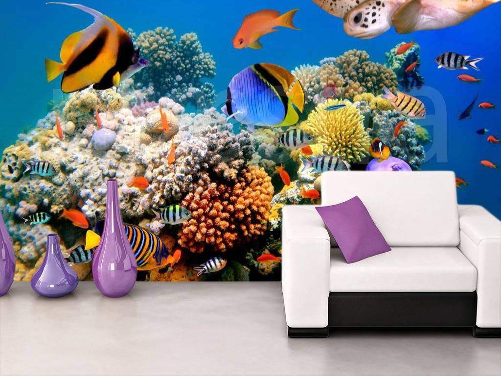Фотообои Подводный мир с кораллами  3-088