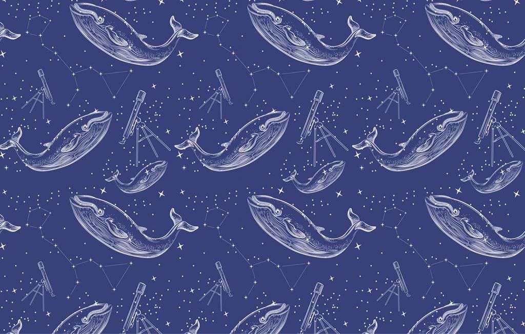 Фотообои в интерьере киты фоновые обои  12-1655 фото