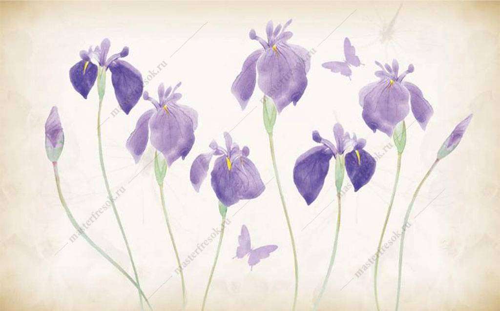 Фотообои в интерьере ирисы цветы  15-948 фото