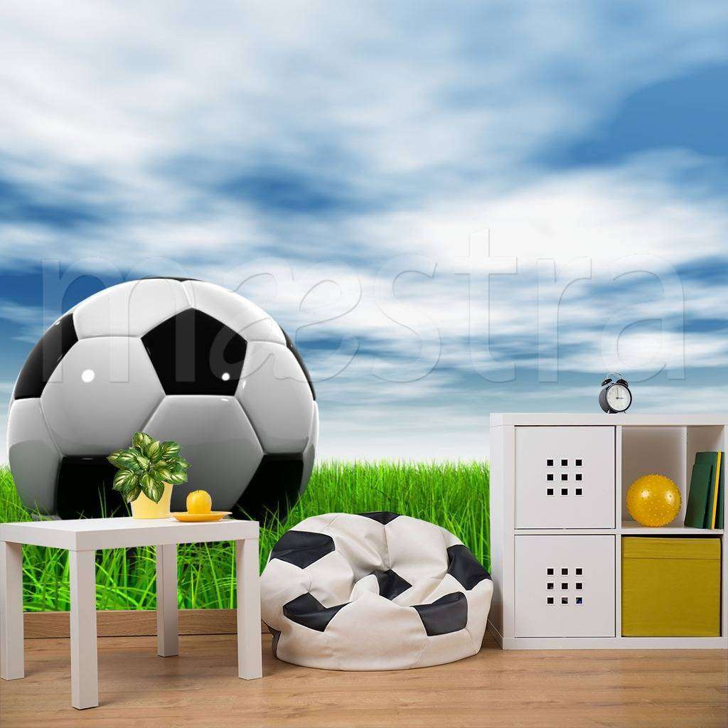 Фотообои Мяч на фоне неба  12-531