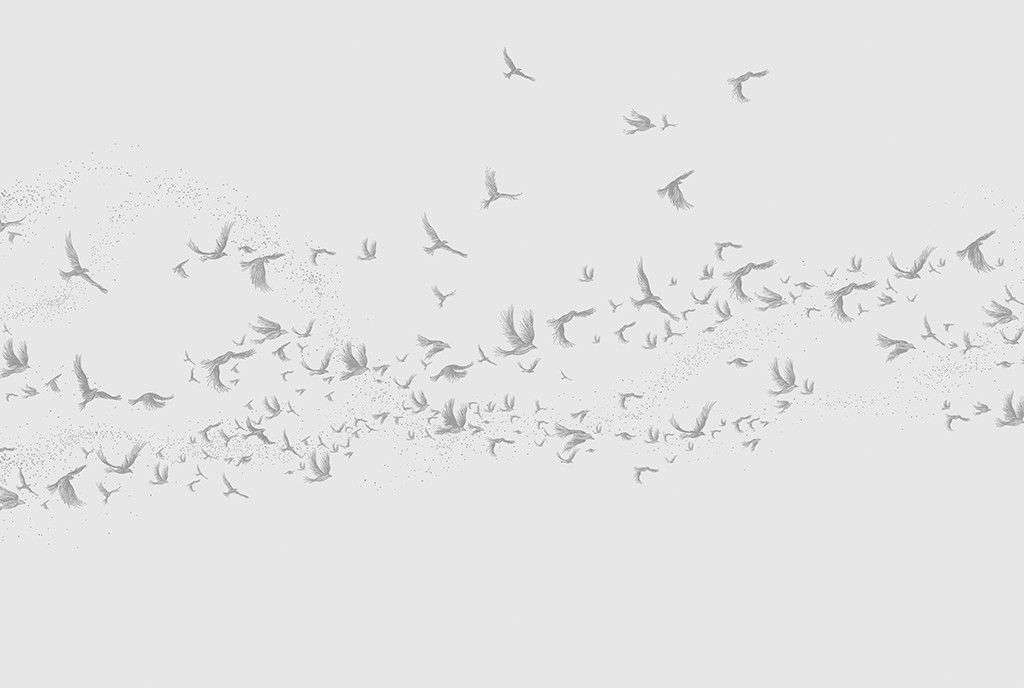 Фотообои в интерьере стая птиц   14-700 фото