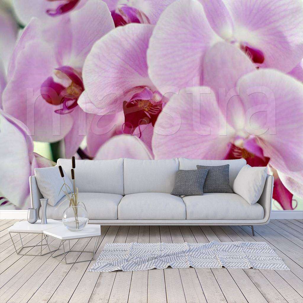 Фотообои Розовые орхидеи  9-079