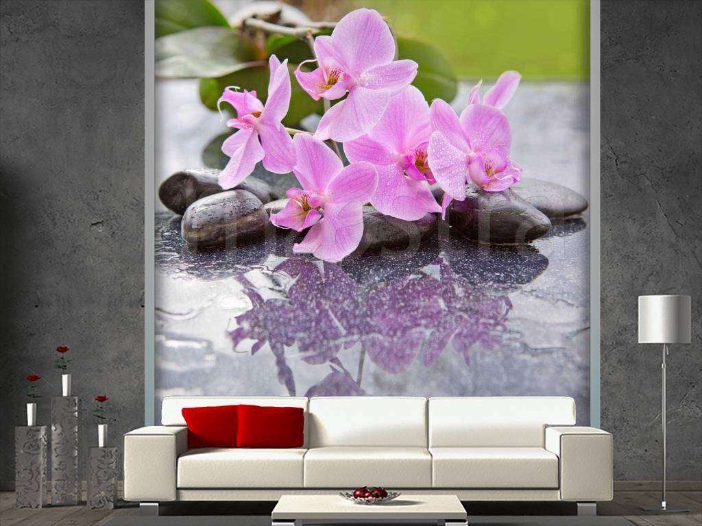 Фотообои Цветки красивой орхидеи на камнях  10-210