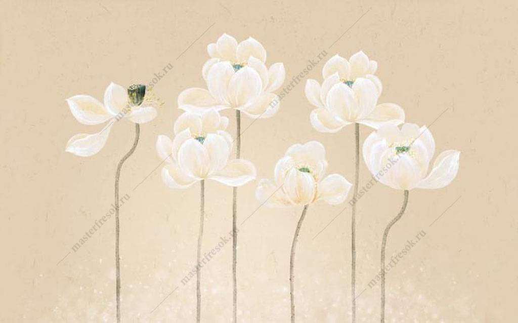 Фотообои в интерьере белые маки  15-892 фото