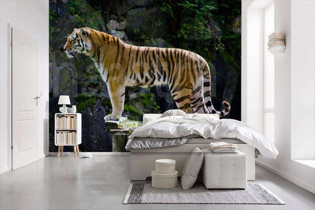 Фотообои Тигр на скале  4-162