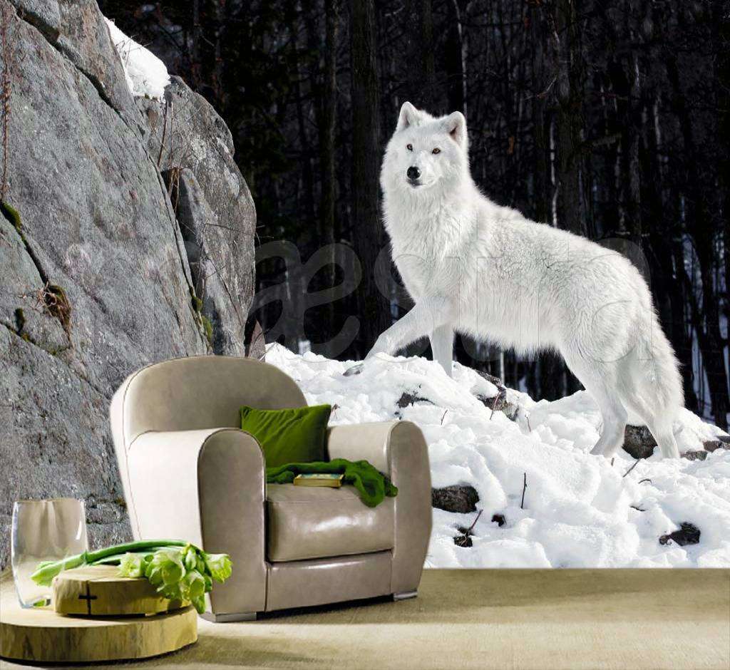 Фотообои Белый волк  4-174