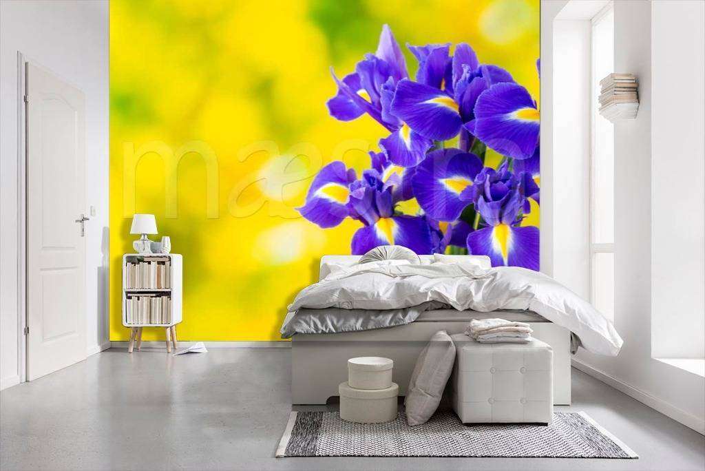 Фотообои Фиолетовый цветок ириса на желтом фоне  10-008