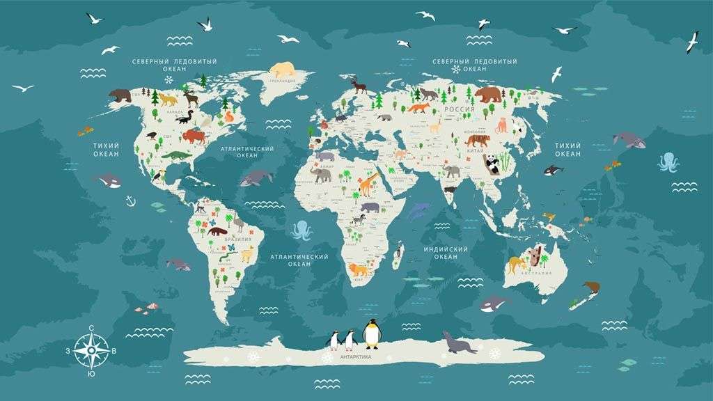 Фотообои в интерьере карта на русском на синем фоне  12-965 фото