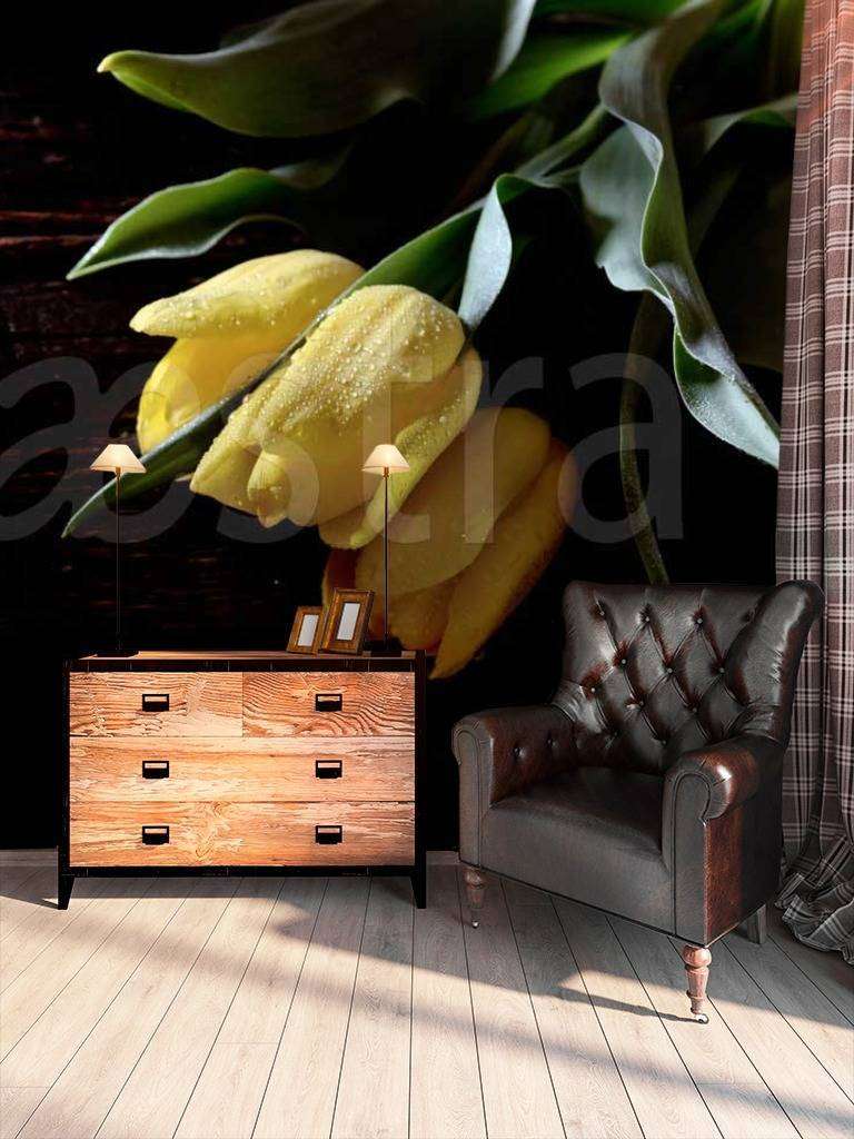 Фотообои Желтые тюльпаны  10-131