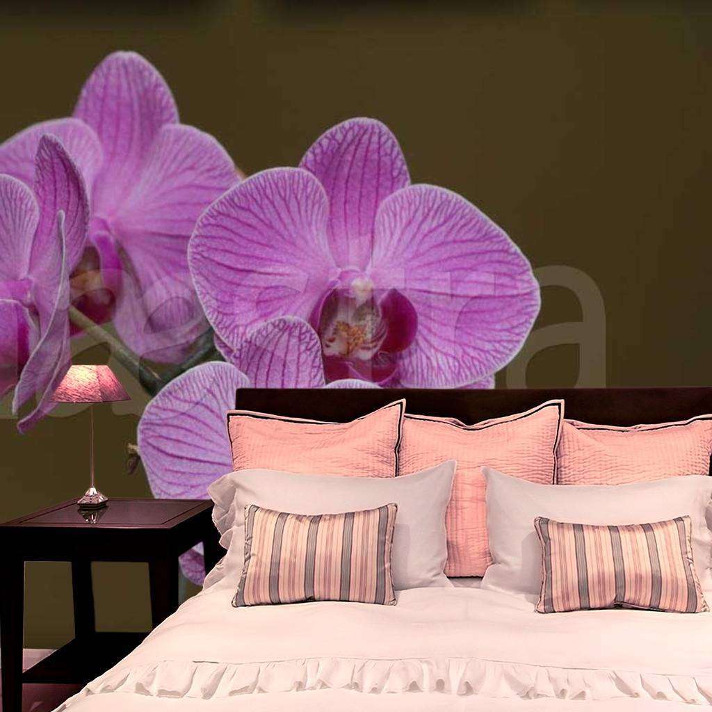 Фотообои Сиреневая орхидея на темном фоне  10-197