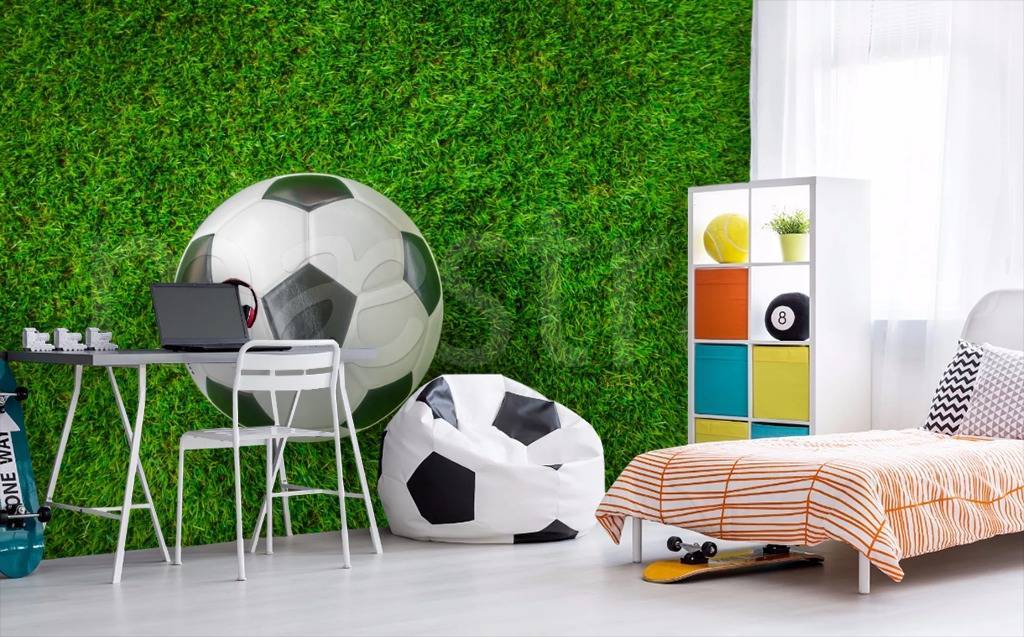 Фотообои Мяч на траве вид сверху  12-530