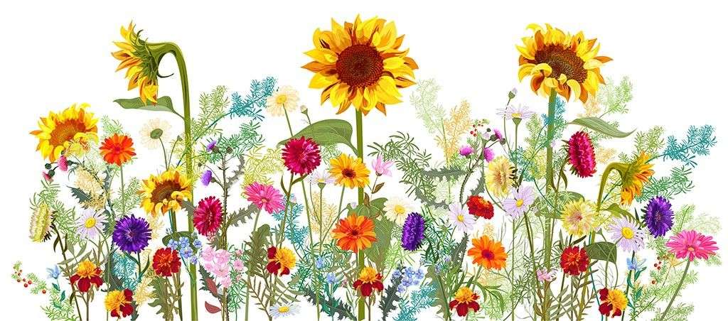 Фотообои в интерьере полевые цветы  9-1722 фото