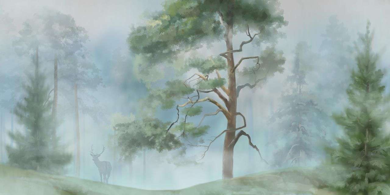 Фотообои в интерьере хвойный лес утром  13-461 фото