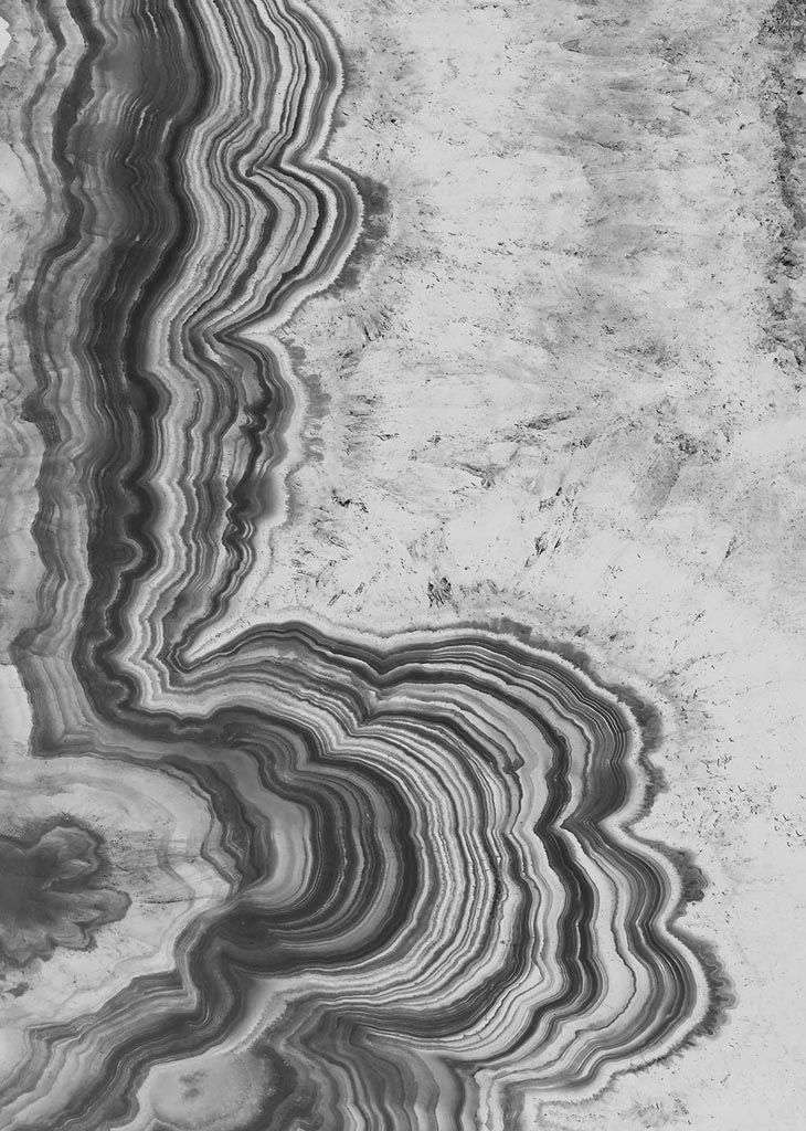 Фотообои в интерьере срез камня ч/б  9-1835 фото