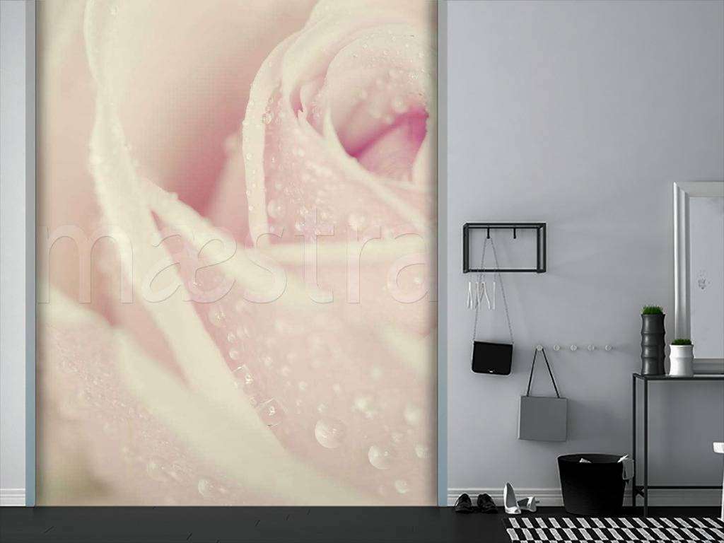 Фотообои Прекрасная розовая роза с каплями росы  10-260