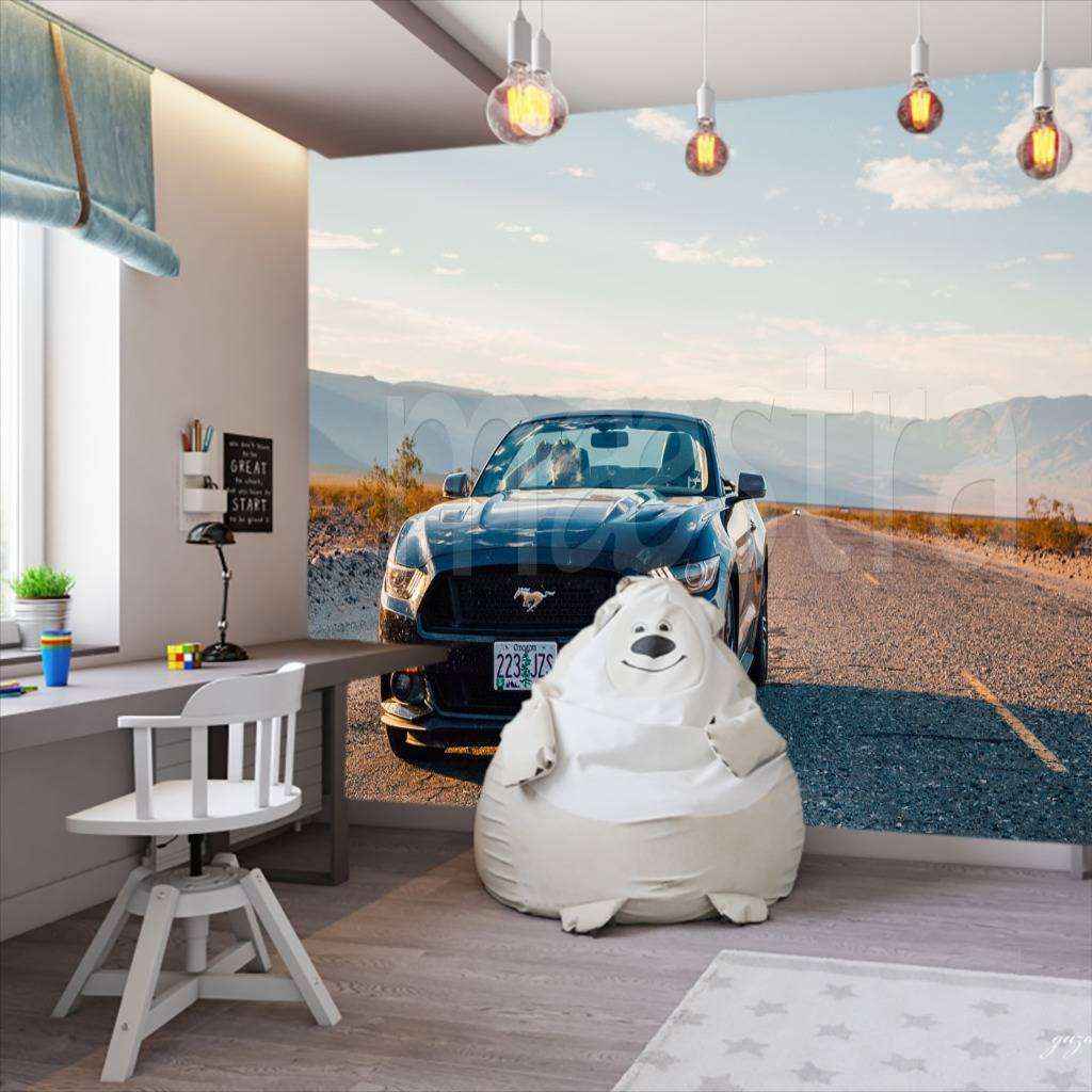 Фотообои в интерьере машина на обочине  12-591 фото