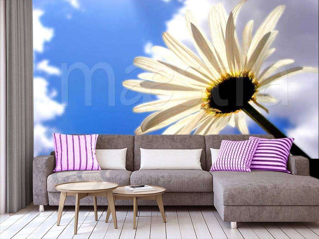 Фотообои Ромашка на фоне голубого неба  9-327