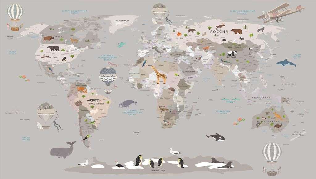 Фотообои в интерьере карта мира с границами стран  12-1186 фото