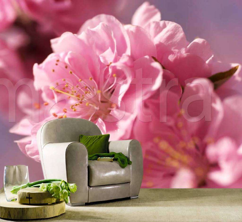 Фотообои Бесшовные обои на стену:  Цветущая сакура. Артикул: 3-179  