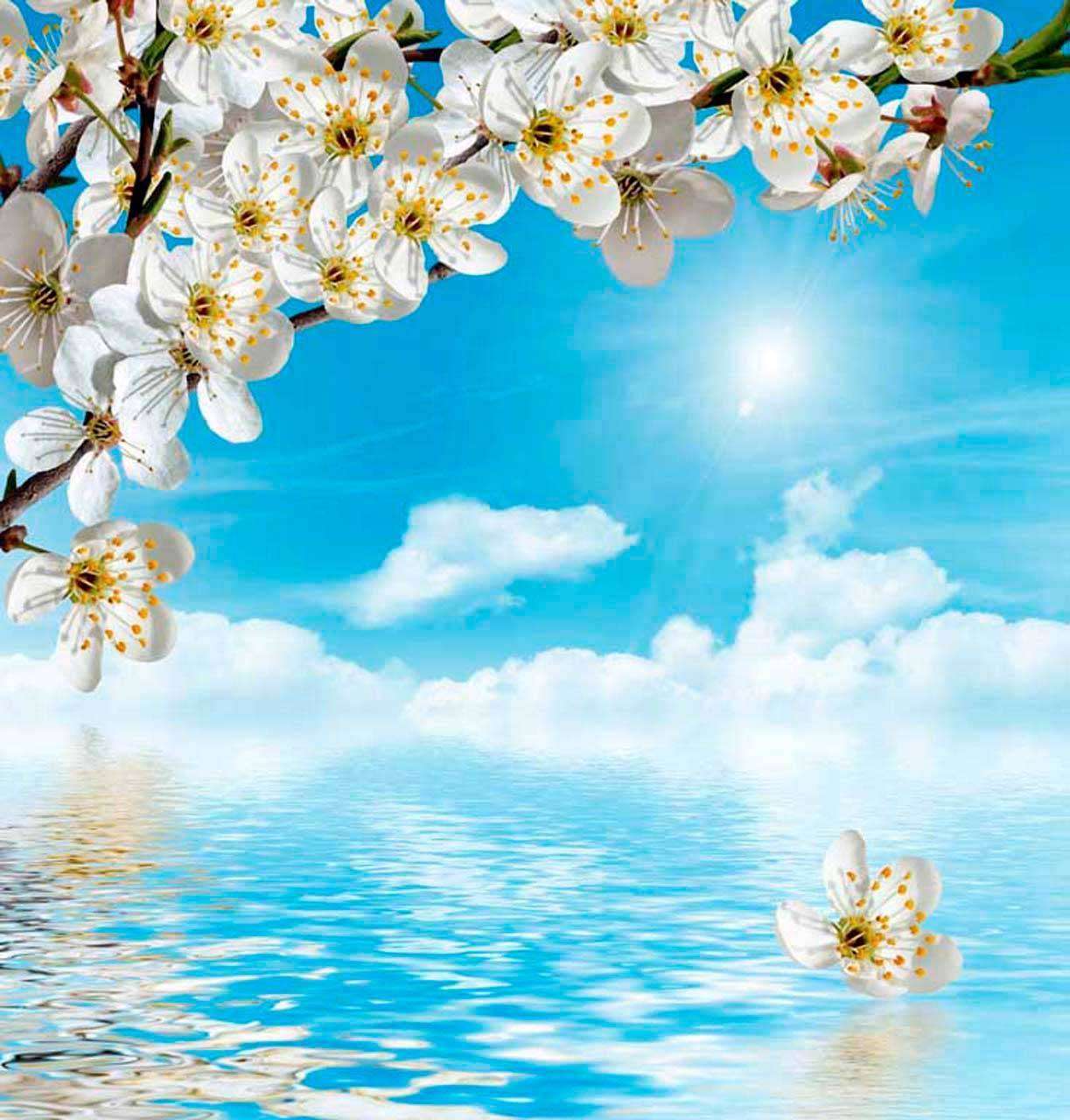 Фотообои в интерьере вишня на фоне голубого неба  10-101 фото