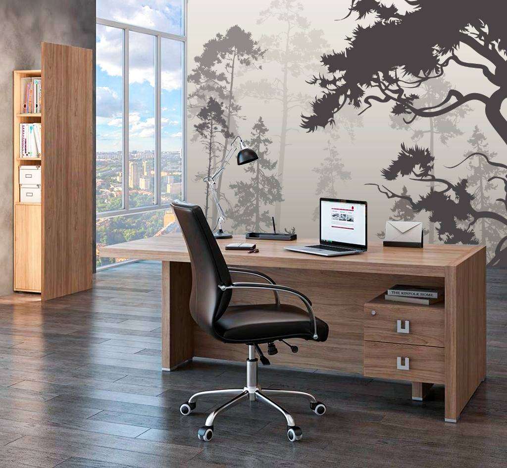 Фотообои в интерьере черно белый лес  9-963 фото