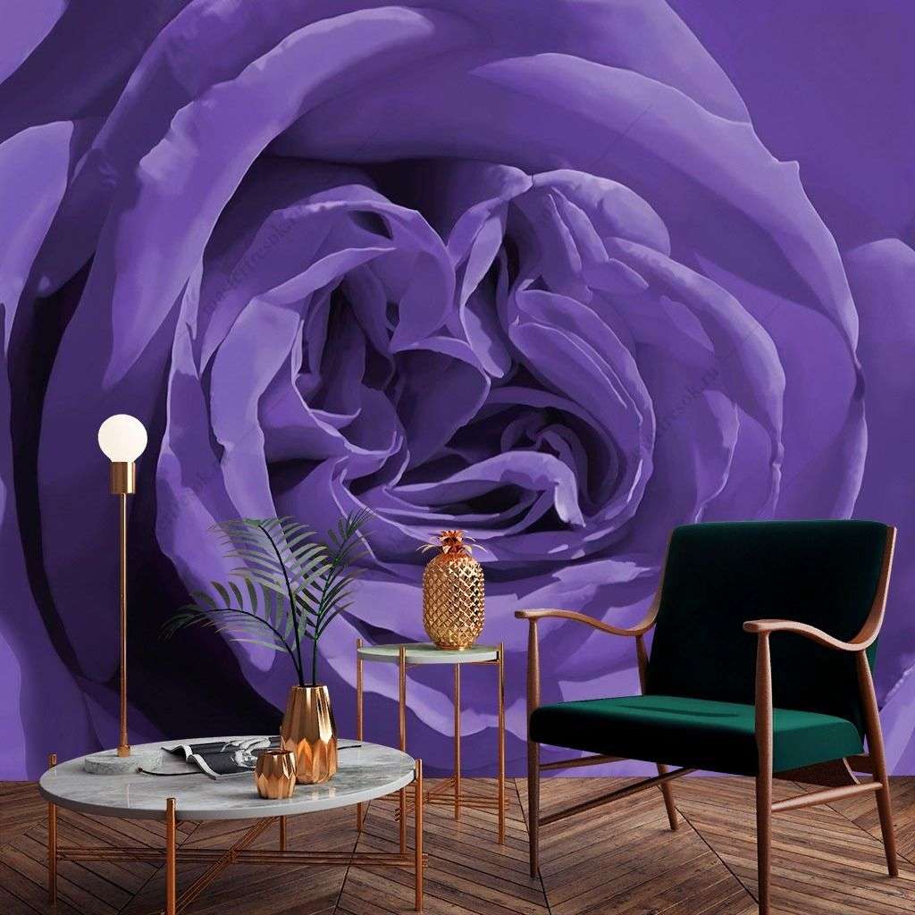 Фотообои Сиреневая роза  9-1431