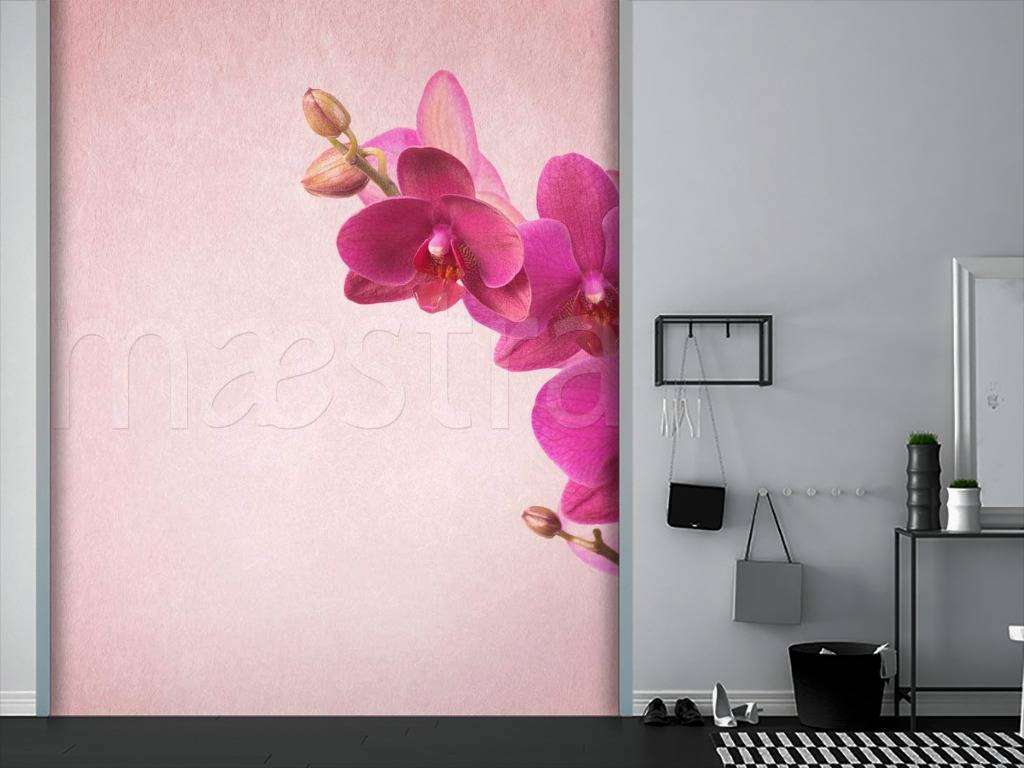 Фотообои Розовая орхидея прекрасная  10-171