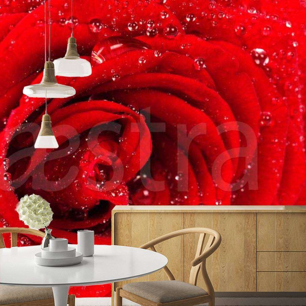 Фотообои Красная роза с каплями росы изящная  10-281