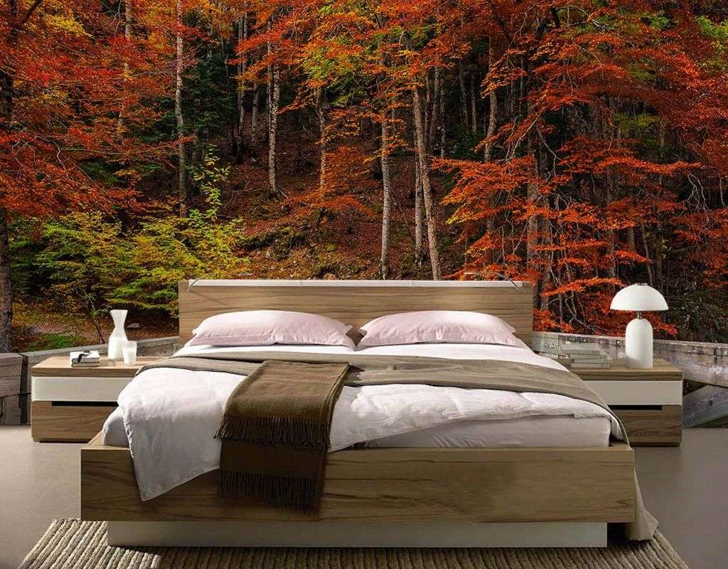 Фотообои в интерьере мост в лесу  9-1969 фото