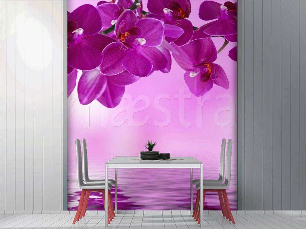 Фотообои Фиолетовая орхидея над водой  10-217