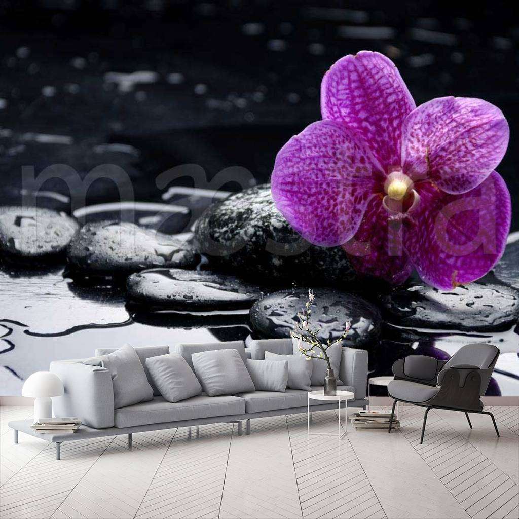 Фотообои в интерьере цветок орхидеи на черном фоне  10-221 фото