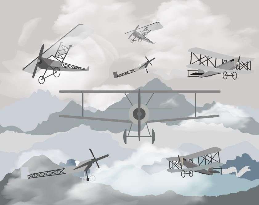 Фотообои в интерьере авиация в горах  14-383 фото