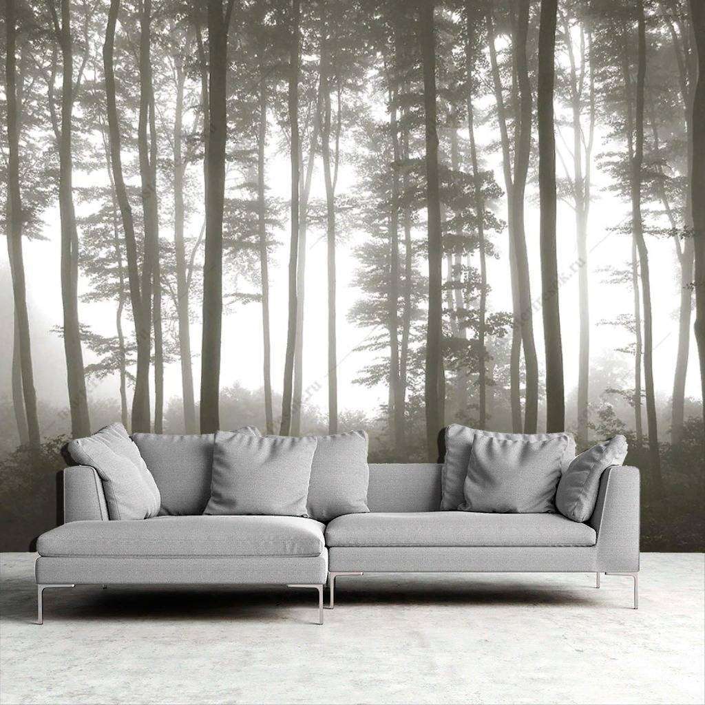 Фотообои в интерьере туманный лес  9-1133 фото