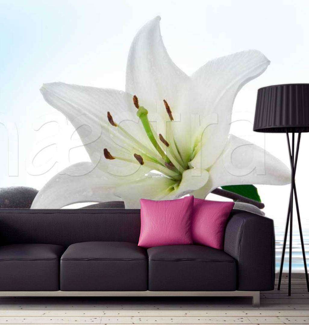 Фотообои Лилия с камнями на воде  10-369